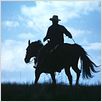 L'Homme qui murmurait a l'oreille des chevaux : photo Robert Redford