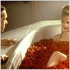 American Beauty