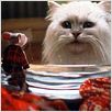 Stuart Little : photo