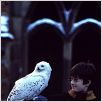 Harry Potter à l'école des sorciers