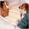 Comme chiens et chats : photo Jeff Goldblum, Lawrence Guterman