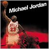 Michael Jordan to the max : affiche