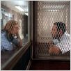 La Vie de David Gale : photo Kate Winslet, Kevin Spacey