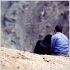 Iran sous le voile des apparences