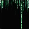Matrix Revolutions : affiche