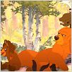 Frère des ours
