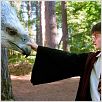 Harry Potter et le Prisonnier d'Azkaban