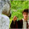 Harry Potter et le Prisonnier d'Azkaban