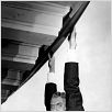 Sueurs froides : photo Alfred Hitchcock, James Stewart