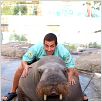 Amour et amnésie : photo Adam Sandler
