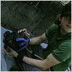 L'Autre rive : photo David Gordon Green