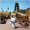 La Rage du tigre : photo Chang Cheh