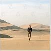 Le Vol du Phoenix : photo Dennis Quaid, John Moore