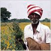 Ayurveda : photo Nalin Pan