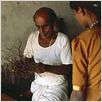 Ayurveda : photo Nalin Pan