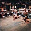 Chok dee : photo Dida Diafat, Xavier Durringer