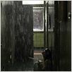 Dark Water : photo Jennifer Connelly, Walter Salles