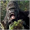 King Kong