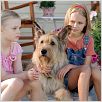 Winn-Dixie mon meilleur ami : photo AnnaSophia Robb, Elle Fanning, Wayne Wang