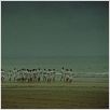 Les Chariots de feu : photo Hugh Hudson