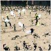 Star Wars : Episode II - L'Attaque des clones : photo George Lucas