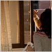 Conte de cinéma : photo Hong Sang-soo, Uhm Jiwon