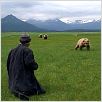 Grizzly Man : photo Werner Herzog