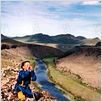Le chien jaune de Mongolie