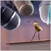 Bee movie - drôle d'abeille