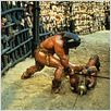 Les Barbarians : photo Ruggero Deodato