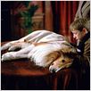 Lassie