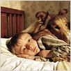 Lassie