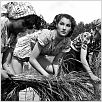 Riz amer : photo Doris Dowling, Giuseppe de Santis