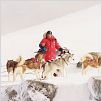 Antartica, prisonniers du froid : photo Frank Marshall