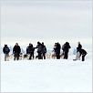 Antartica, prisonniers du froid : photo Frank Marshall
