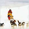 Antartica, prisonniers du froid : photo Bruce Greenwood, Frank Marshall, Paul Walker