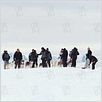 Antartica, prisonniers du froid : photo Frank Marshall