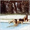 La Piscine : photo Alain Delon, Jacques Deray, Romy Schneider