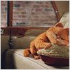 Garfield 2 : photo Tim Hill