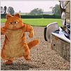Garfield 2 : photo Tim Hill