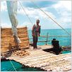 Le Sauvage : photo