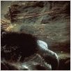 King Kong : photo John Guillermin