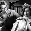 Macadam : photo Jacques Dacqmine, Marcel Blistene, Simone Signoret
