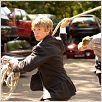 Alex Rider : Stormbreaker