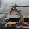 Le Vilain petit canard et moi : photo Michael Hegner