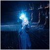 Harry Potter et l'Ordre du Phénix
