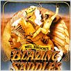 Le Shérif est en prison : affiche Mel Brooks
