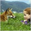 Le Renard et l'enfant : photo Bertille Noël-Bruneau, Luc Jacquet
