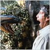 Anaconda : photo