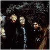 Le Jour des morts-vivants